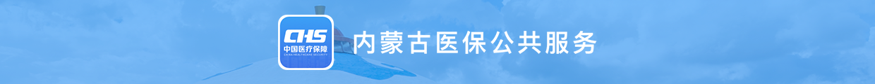 内蒙古医保公共服务